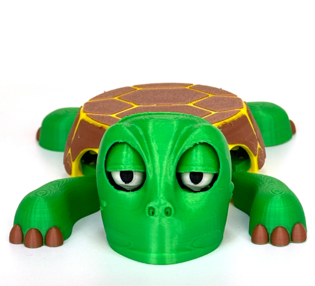 3D-Printed Turtle Coaster
