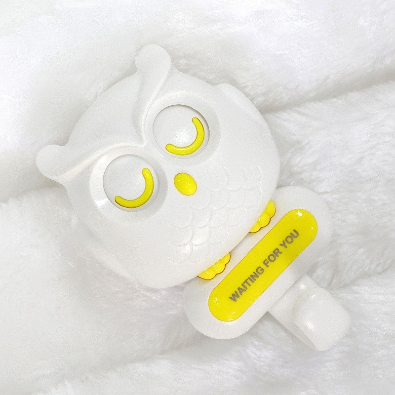 Owl Wall Hook with Moving Eyes