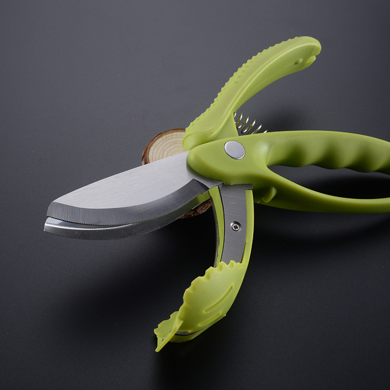 Stainless Steel Salad Scissors