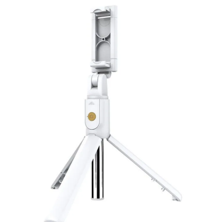 Bluetooth Selfie Stick & Mini Tripod